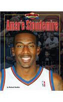 Amar'e Stoudemire: (Basketball Heroes Making a Difference)
