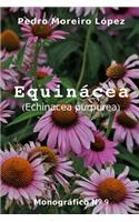 Equinácea