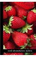red strawberry notes: small lined Strawberry Notebook / Travel Journal to write in (6'' x 9'') 120 pages
