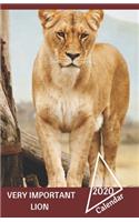 Very Important Lion