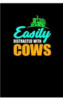Easily Distracted by Cows
