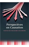 Perspectives on Causation