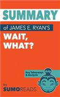 Summary of James E. Ryan's Wait, What?