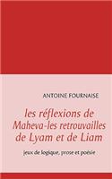 les réflexions de Maheva-les retrouvailles de Lyam et de Liam: jeux de logique, prose et poésie(French)