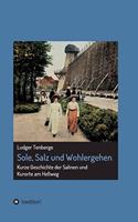 Sole, Salz und Wohlergehen: Kurze Geschichte der Salinen und Kurorte am Hellweg