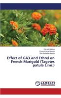 Effect of GA3 and Ethrel on French Marigold (Tagetes patula Linn.)