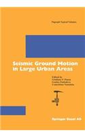 Seismic Ground Motion in Large Urban Areas