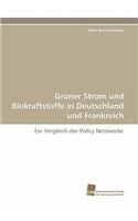 Gruner Strom Und Biokraftstoffe in Deutschland Und Frankreich