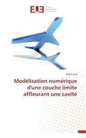 Modélisation Numérique d'Une Couche Limite Affleurant Une Cavité