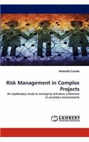 Risk Management in Complex Projects