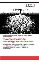 Calefaccionado del fertirriego en horticultura