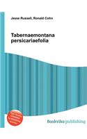 Tabernaemontana Persicariaefolia