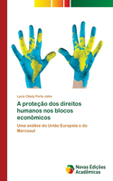 A proteção dos direitos humanos nos blocos econômicos