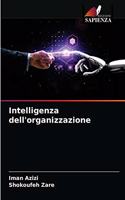 Intelligenza dell'organizzazione