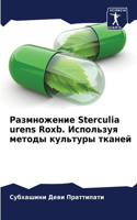 Размножение Sterculia urens Roxb. Используя методы культур