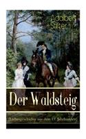 Der Waldsteig (Liebesgeschichte aus dem 19. Jahrhundert): Die Lebensgeschichte eines Außenseiters
