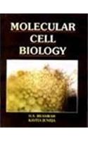 Molecular Cell Biology