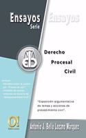 Ensayos de Derecho Procesal Civil