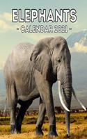 Elephants: 2021 Calendar Book, Cute Gift Idea For Elephant Lovers Men And Women