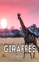 Giraffes 2021 Calendar: Cute Gift Idea For Giraffe Lovers Men And Women