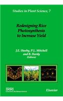 Redesigning Rice Photosynthesis to Increase Yield