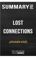 Summary of Lost Connections