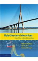 Fluid-Structure Interactions