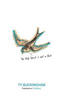 Holy Spirit Is Not A Bird