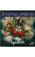 Jumping Spiders