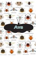 Ava: Bug Insect Weekly Planer Book Notebook Journal Book 120 Pages 6x9