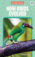 How Birds Evolved: (How Animals Evolved)