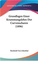 Grundlagen Einer Krummungslehre Der Curvenscharen (1896)