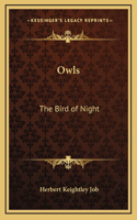 Owls: The Bird of Night