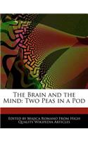 The Brain and the Mind