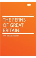 The Ferns of Great Britain