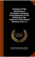 Catalogue Of The Specimens Of Dermaptera Saltatoria And Supplement Of The Blattariæ In The Collection Of The British Museum, Parts 1-4