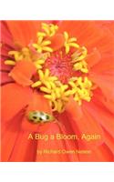 A Bug A Bloom, Again