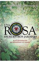 Una rosa en nuestros jardines
