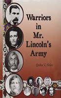 Warriors in Mr. Lincoln's Army