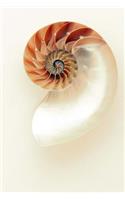 A Simple and Lovely Nautilus Seashell Journal: 150 Page Lined Notebook/Diary