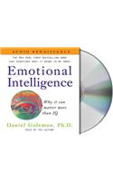 Emotional Intelligence