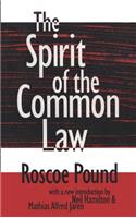 The Spirit of the Common Law