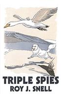 Triple Spies by Roy J. Snell, Fiction, Action & Adventure