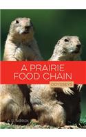 A Prairie Food Chain