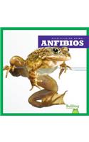 Anfibios (Amphibians)