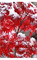 2020 Daily Planner Japanese Maple Winter Snow 388 Pages: 2020 Planners Calendars Organizers Datebooks Appointment Books Agendas