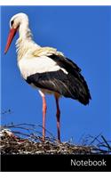 Notebook: Cicogna, Uccello, Volare, Dalle Piume taccuino / agenda / quaderno delle annotazioni / diario / libro di scrittura / carnet / zibaldone - 6 x 9 poll