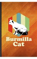 Burmilla Cat