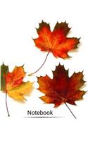 Notebook: Composition Style Notebook for Fall