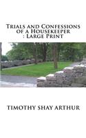 Trials and Confessions of a Housekeeper